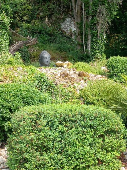 埃克尔桑特阿吕美特斯住宿加早餐旅馆 Ecorsain 外观 照片