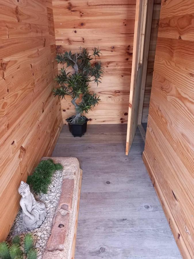 埃克尔桑特阿吕美特斯住宿加早餐旅馆 Ecorsain 外观 照片